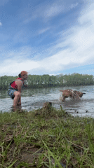 Woman and Boxer dog enjoy spring morning by water