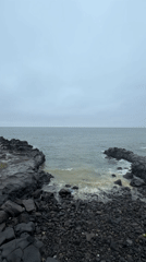 Jeju's rugged volcanic coast under overcast summer skies