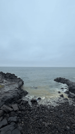 Jeju's rugged volcanic coast under overcast summer skies