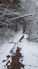 Family documents spring forest visit in snowy Russian village