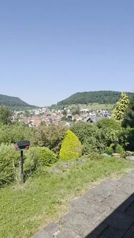 This media file presents a scenic overview of a quaint German village, likely Albstadt, Germany, under a clear, sunny sky, suggesting midday. The landscape is characterized by rolling green hills densely forested in the background, gradually sloping down to the village. The village itself is a charming cluster of traditional European houses with terracotta tiled roofs. Prominently situated amidst the residential buildings is a striking church with a tall, slender steeple, capped with a dark, pointed roof, indicating a place of worship at the heart of the community.

The foreground is occupied by lush greenery, with various trees and shrubs creating a natural frame for the village vista. A bright yellow, cone-shaped shrub stands out in the middle ground, adding a vibrant splash of color against the more subdued greens and browns of the village. A partially visible black object, possibly a mailbox or a signpost, is positioned in the lower left corner, hinting at the presence of infrastructure within the natural setting. The overall impression is one of peaceful rural life, bathed in the warm light of a pleasant day. There is no discernible activity or event taking place; the scene appears to be a static, picturesque landscape. No people are visible in the frame. Any text is either too small to read or not present in a legible form.