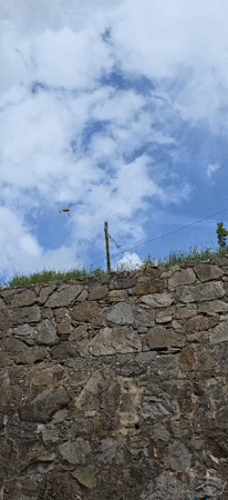 Yellow helicopter spotted flying over Sahún, Spain