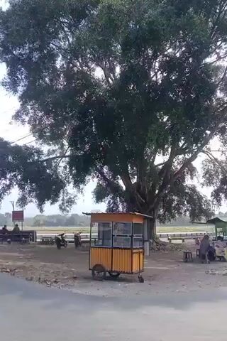 The video shows a roadside scene. There are several small food stalls or shops set up along the side of a dirt road. Some stalls are covered with tarps or awnings, while others are more permanent structures. There are tables and chairs set up outside some of the stalls, suggesting an area for customers to sit and eat. Several motorcycles are parked near the stalls. In the background, there appears to be a field, possibly agricultural land, and some trees. The sky is partly cloudy. There are power lines visible overhead. A few people are visible near the stalls, some appearing to be customers and others possibly vendors. One stall has a yellow exterior with a glass-fronted display area. Another stall is small and pink with a green trim. The scene appears to be in a rural or semi-rural setting.