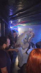Live music performance draws costumed crowd to Moscow venue