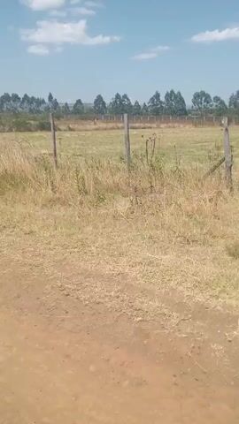 The video shows a dirt road next to a field of dry grass and scattered bushes. The field is bordered by a wooden fence. In the distance, there is a row of trees and a few buildings. The sky is blue with some white clouds. The camera is relatively stationary, suggesting it is mounted on something or held very still.