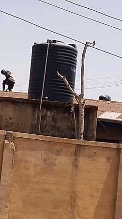 Roof maintenance crew observed working on metal rooftops