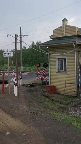 A railway crossing is depicted with its barrier down and a red light flashing. A building, possibly a signal box, is situated to the right of the crossing. The sky is overcast, suggesting cloudy weather. Trees and a forest line the background, indicating a rural or suburban setting. The road is unpaved.
