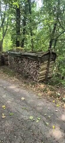 The video shows a pile of chopped firewood stacked neatly along a dirt road in a forest. The wood is covered with a tarp to protect it from the elements. The trees in the background are lush and green, suggesting it is daytime in a temperate climate. There are no people visible in the video. The text overlay indicates the location is Schwarzwald, which is a mountainous forest region in southwestern Germany.