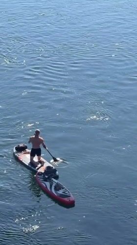 Afternoon paddleboarding on a calm river in Folsom