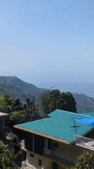 Peaceful mountain scenery and wildlife observed in Haini, India