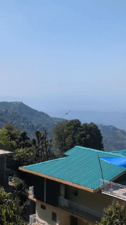 Peaceful mountain scenery and wildlife observed in Haini, India