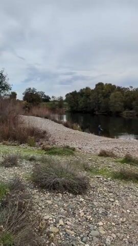 The video shows a landscape scene with a river or body of water on a cloudy day. The foreground is a rocky shore composed of pebbles and small stones. Patches of low-lying vegetation are scattered across the rocky ground. In the distance, a person can be seen fishing on the riverbank. The river reflects the surrounding trees and the overcast sky, creating a mirror-like effect. The trees line the opposite bank of the river, forming a dense thicket with hints of fall foliage. The sky is covered in gray clouds, suggesting a cool or potentially rainy weather.
