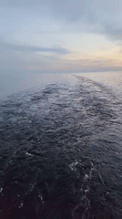 Boat wake captured on Russian waters under overcast sky