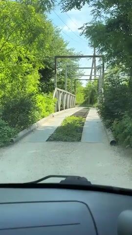 The video, filmed from inside a vehicle, shows a car approaching and then slowly driving over a metal bridge. The perspective is from the driver's or front passenger's seat, with the car's dashboard and windshield visible at the bottom of the frame. The bridge features a concrete base with large sections of metal grates forming the driving surface, over which the car passes. Lush green trees and vegetation flank both sides of the bridge and the path beyond. In the background, power lines and poles are visible against a clear, blue sky, indicating a bright, sunny daytime setting. The sound of the car's tires interacting with the metal grates is clearly audible as it moves forward. The scene depicts a rural or semi-rural environment, consistent with the provided location context of Shirokaya Schel, Russia. There is no visible text in the video.