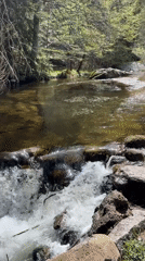 Forest journey documented through streams, bridges, transit over 2.5 hours