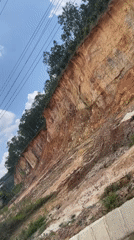 Steep dirt embankment with trees documented in Nam Hải