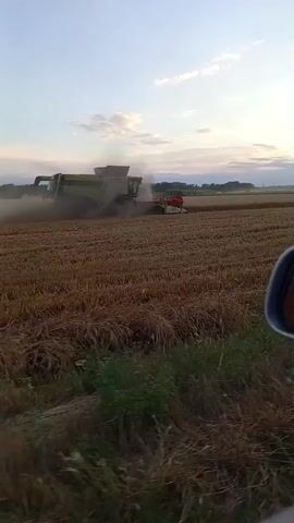 The video shows a combine harvester in a field of harvested grain under a cloudy sky. The harvester is large and green with a red attachment. It is kicking up dust as it moves through the field. In the foreground, a car's side mirror is visible, reflecting the scene. The sun is setting in the distance, casting a warm glow over the landscape. The field appears to be dry and has been recently harvested, with stubble visible. There are also some green plants growing along the edge of the field. The overall impression is of agricultural work being done at dusk.