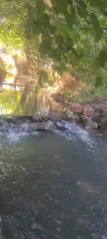 This is a video recording of a small, shallow stream flowing through a wooded area. The water is clear, with a visible rocky bed, and it cascades over a low-lying series of rocks, creating a gentle waterfall. Sunlight filters through the lush green foliage of trees that overhang the stream, casting dappled light onto the water and the surrounding banks. The scene is peaceful and natural, with no people visible. The time of day appears to be late afternoon or early evening, given the warm, golden hue of the sunlight. The presence of a few weathered bricks scattered along the bank suggests some human presence or modification of the natural environment, but the overall impression is one of serene, natural beauty. The location is identified as Ortaca, Turkey, which is known for its natural landscapes and agricultural areas.