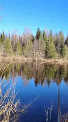 Family Lake Outing Documented in Chaikovsky, Russia