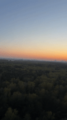 Sunset landscape with forest and city skyline captured on video