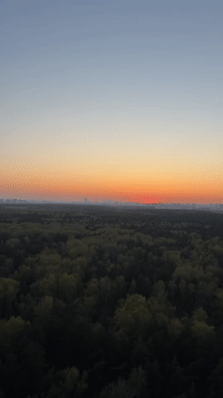 Sunset landscape with forest and city skyline captured on video