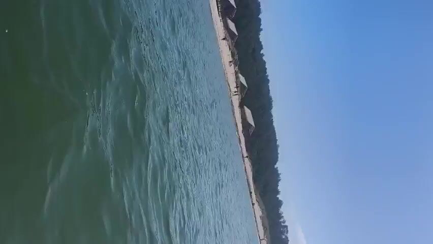 The video shows a water scene with a beach and trees in the background. The water is green and has ripples, suggesting it is moving. The beach is sandy and lined with small huts or bungalows. Behind the beach, there are dense green trees. The sky is clear and blue. The camera appears to be moving through the water, as the perspective is slightly tilted and the water is the primary focus in the foreground. The scene is tranquil and appears to be a tropical or coastal resort area.