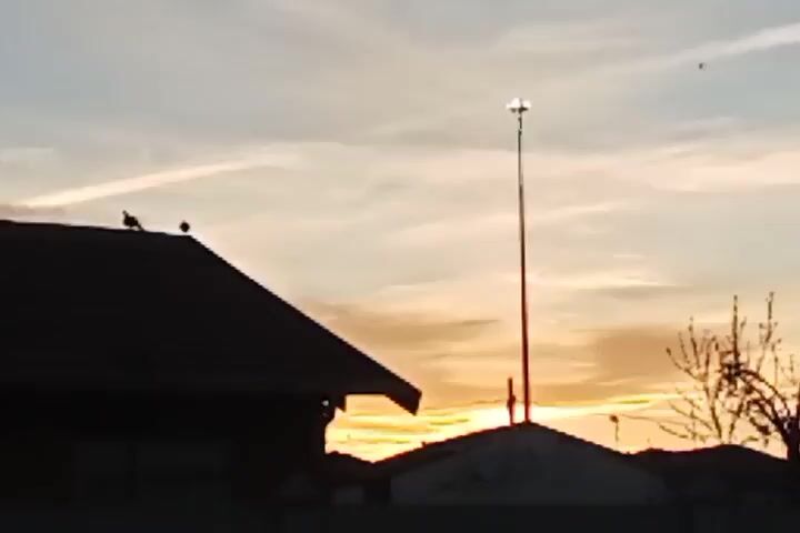 The video shows a silhouette of a house against a sunset sky. Two birds are perched on the roof of the house. A tall light pole with lights on top stands in the background. The sky has wispy clouds and the sunset colors are visible.