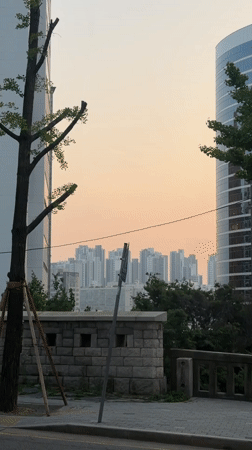 Seoul restaurant worker prepares temaki sushi under orange skies