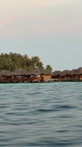 The video shows a row of overwater bungalows in the Maldives from a moving boat on the water. The bungalows are wooden with dark roofs, and they are built on stilts over the ocean. There is a small island behind them with palm trees. The water is calm and blue, and the sky is a light blue color. A red buoy can also be seen floating in the water.