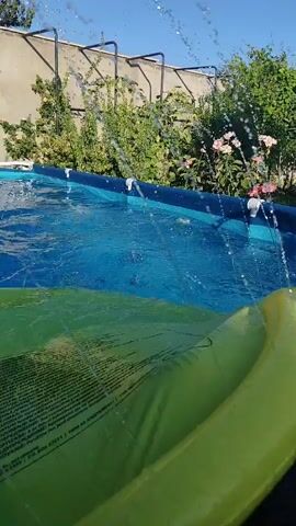 A bright, sunny day is shown with a backyard swimming pool. The pool is filled with clear blue water. An inflatable yellow and green pool float is partially submerged in the water, occupying the foreground of the shot. In the background, lush green bushes and some pink flowers are visible, with a wall or fence behind them. There are also several sprinkler heads positioned along the edge of the pool, spraying water into the pool, creating ripples on the surface. The camera appears to be positioned low, looking across the pool.