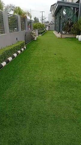 The video pans across a well-maintained lawn. The lawn is artificial turf and is a vibrant green. To the left of the lawn is a grey wall with a black and white striped border along the edge of the grass. Behind the wall, there is a grey fence with horizontal slats. There are also some manicured bushes. Further to the left, there are some trees and the top of a building. To the right of the lawn is a modern building with large glass windows and a dark frame. There are some large white planters visible near the building. The sky is overcast. There are a few small objects scattered on the lawn that appear to be birds. One bird is shown in mid-flight across the lawn.