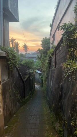 The camera moves upwards in a narrow alleyway, revealing a picturesque view of a tropical sunset. The alley is paved with brick and flanked by aged concrete walls covered in vines and moss. Beyond the alley, rooftops and lush greenery fill the scene, with tall palm trees silhouetted against the pastel hues of the sky. The sunset paints the sky with a blend of pink, orange, and pale yellow. A single power line stretches across the top of the frame. The overall scene evokes a sense of tranquility and tropical beauty.