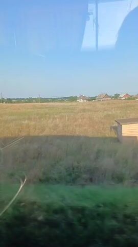 The video shows a view from inside a moving vehicle, looking out at a rural landscape under a clear blue sky. The foreground is dominated by blurred green foliage, suggesting the vehicle is moving through a grassy area. Beyond this, a wide, open field of dry grass, possibly a meadow or agricultural land, stretches towards the horizon. Several houses with tiled roofs are visible in the distance, scattered across the landscape. A prominent shadow, likely cast by the vehicle itself, falls across the field, moving from left to right as the video progresses. The overall impression is of a sunny day in a countryside setting.