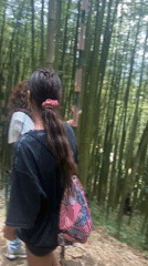 Women photograph bamboo, meet men at forest structure in Vietnam