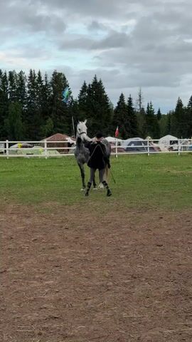 A young woman dressed in dark clothing stands in a large outdoor arena next to a dappled gray horse. She holds a lead rope in one hand and uses her other hand to gently stroke the horse's head and neck. The horse stands calmly next to her. In the background, there is a white fence separating the arena from a grassy field with several tents and trees. The sky is overcast.