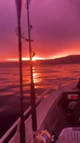 The scene shows the interior of a boat moving across water during a vibrant sunset. The sky is a deep pink and red, with the sun creating a bright glare on the water's surface. Two fishing rods stand upright on the left side of the boat, a fishing reel is visible on the boat near the rods, and the interior of the boat appears to be made of metal. There is a white basket toward the side of the boat as well. In the distance, land is silhouetted against the horizon. The boat's dashboard and navigation equipment are visible in the frame.