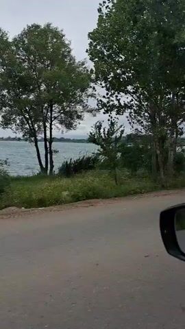The video pans across a landscape from a moving vehicle. A paved road is visible in the foreground, with the right side of a vehicle's side mirror showing on the right edge of the frame. Beyond the road is a body of water, likely a lake or bay, with ripples suggesting wind or movement. Lush green vegetation, including trees and bushes, lines the shore. The sky is overcast. In the distance, faint shapes of land or buildings can be seen across the water. A colorful kite is visible in the sky over the water. The overall scene is natural and serene.