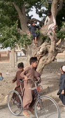 Children play in tree while livestock truck parks in Quetta