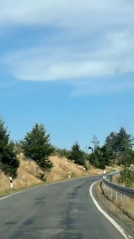 The video shows a first-person view of a car driving on a paved road that curves to the right. The road has a white line on the left edge and a metal guardrail on the right edge. The surrounding environment is a hilly landscape with dry grass and scattered evergreen trees. The sky is blue with some wispy clouds. Road markers with reflective elements are visible along the side of the road. The lighting suggests it is daytime.