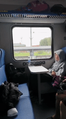 Quiet train ride through the Russian countryside