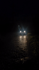 Nighttime scenes documented along wet roads in Da Lat