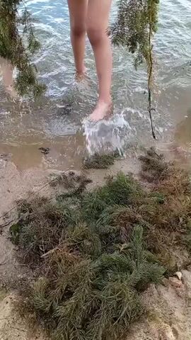 The video shows the lower legs and feet of at least two individuals standing in shallow, murky water near a sandy shoreline. Large clumps of dark green, feathery aquatic vegetation are piled on the sand in the foreground and in the water. The individuals are moving their feet, causing ripples and splashing in the water. One person is pulling a large amount of the aquatic vegetation out of the water. The water appears to be a lake or pond.