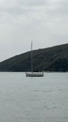 Maritime scenes documented in Budva harbor, Montenegro