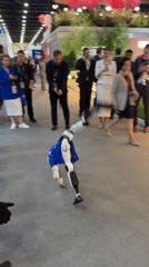 SPIEF'26 exhibition features robots, art displays in Shushary