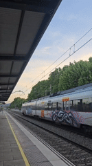 Graffitied Rodalies train passes through la Llagosta station at dusk