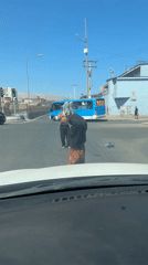 Two people block road, witnessed by passing driver