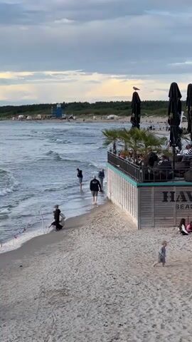 A wide shot shows a beach scene with several people. The ocean is on the left, with waves lapping at the shore. A sandy beach stretches to the right. In the middle ground, there is a building with an outdoor seating area, featuring tables and umbrellas, and palm trees. A seagull is perched on top of one of the umbrellas. Several people are walking along the water's edge, some are seated at the outdoor tables. In the foreground, a person is crouched down near the water. The sky is cloudy. The overall mood is relaxed and casual.