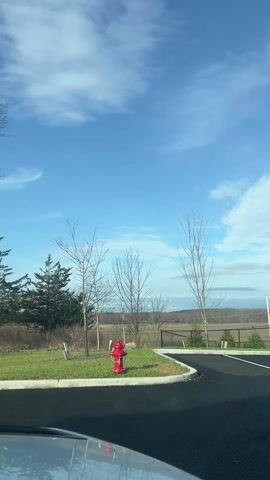 The video shows a stationary scene of a red fire hydrant on a small patch of green grass, next to a parking lot. Behind the hydrant are bare trees and, further back, a field bordered by a black fence. The sky is blue with some clouds. The video is shot from a car, with part of the car's hood visible at the bottom of the frame.