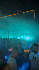 Sofia nightclub gathering and domestic moments captured by witnesses