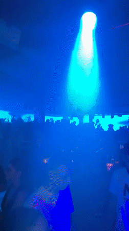 Sofia nightclub gathering and domestic moments captured by witnesses
